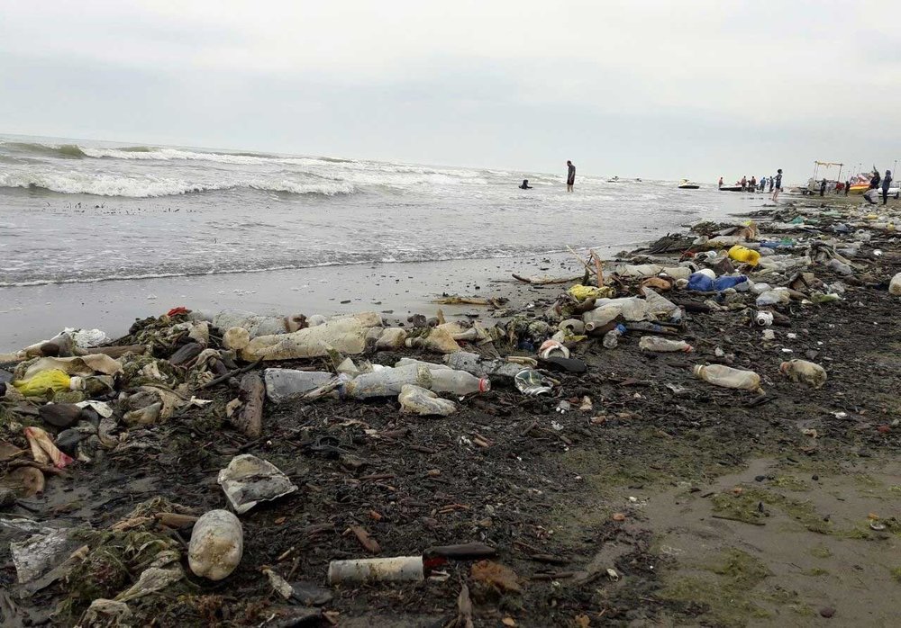 Pantai Penuh Limbah