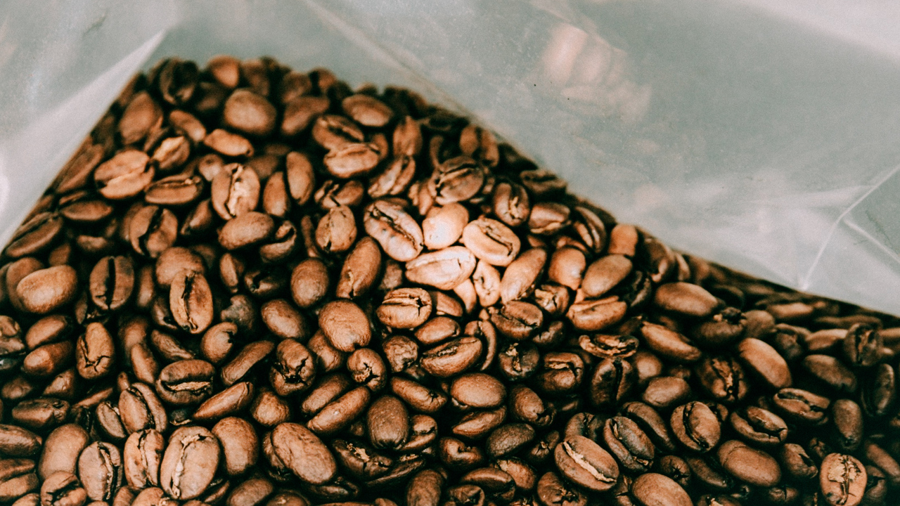 Cara Memilih Biji Kopi Berkualitas