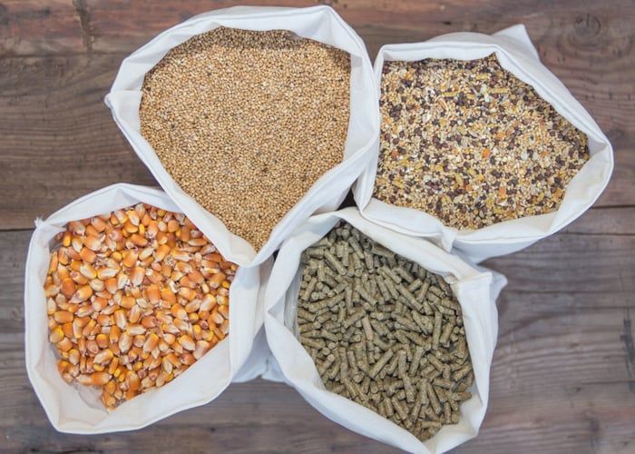 bisnis pencampuran pakan ternak