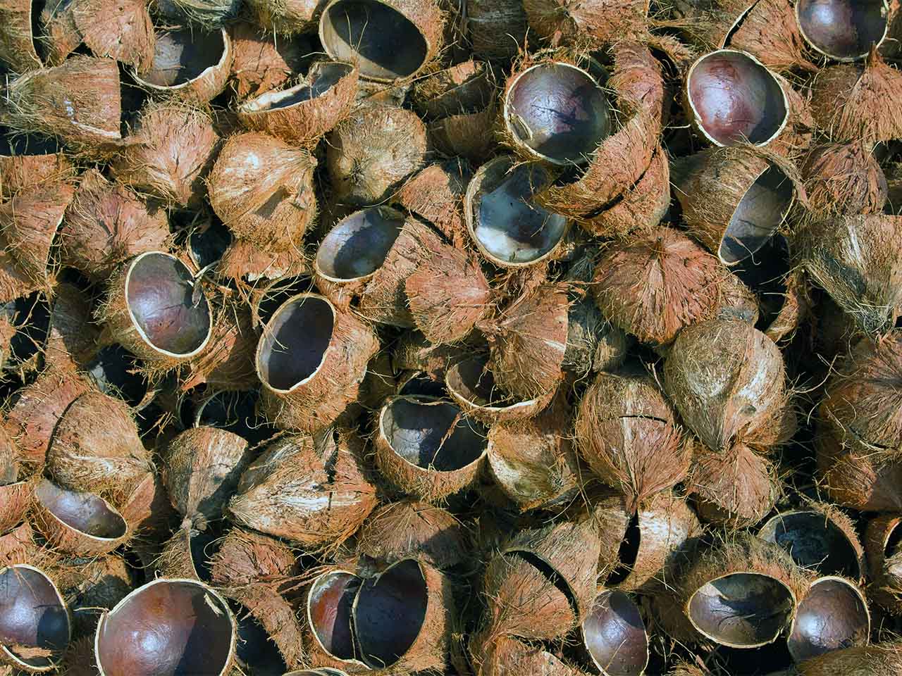 Produk Inovatif Kulit Kelapa