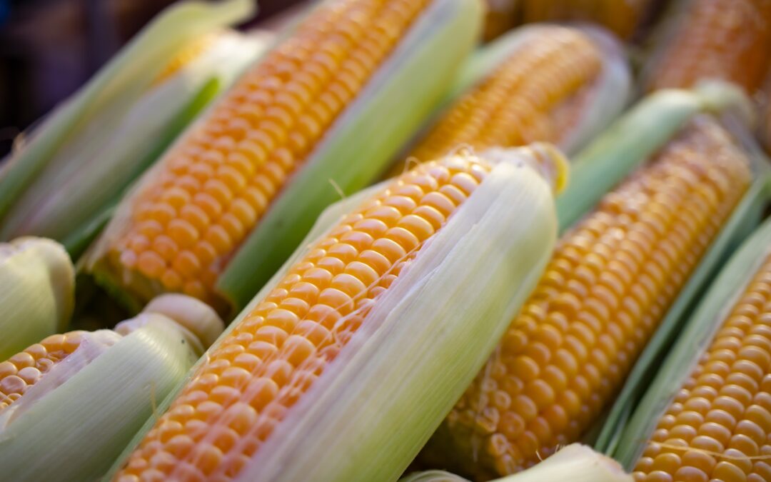 Mesin Penggiling Janggel Jagung