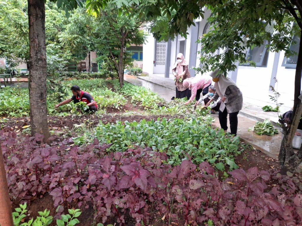 edukasi lingkungan berbasis cocomesh di sekolah