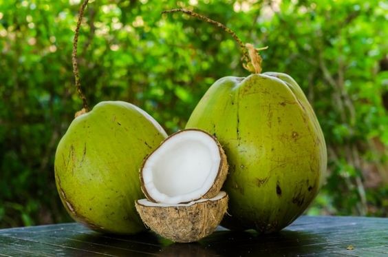Jenis kelapa untuk diolah santan