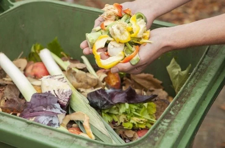 Cara Mencacah Sampah Organik Praktis