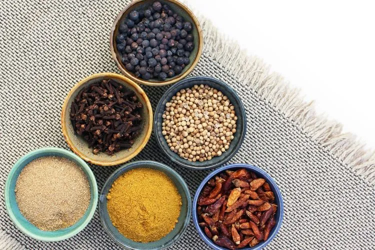 peluang usaha bumbu kering modern