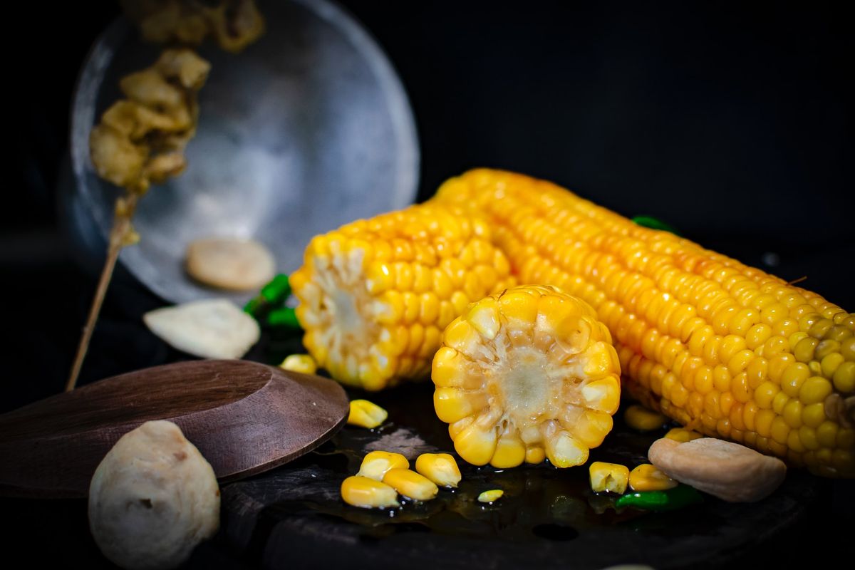 tips memilih mesin perontok jagung