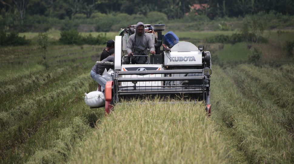 Solusi Potong Padi Otomatis Praktis Untuk Panen