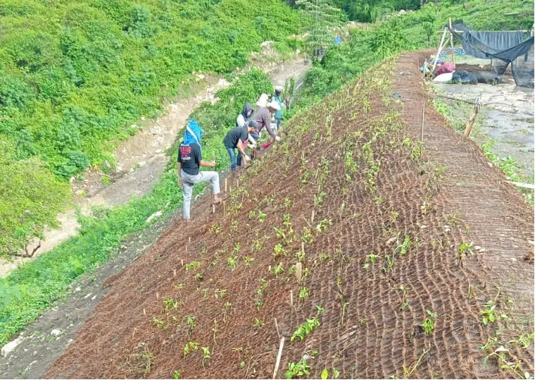 cocomesh-untuk-pengendalian-sedimentasi-lahan