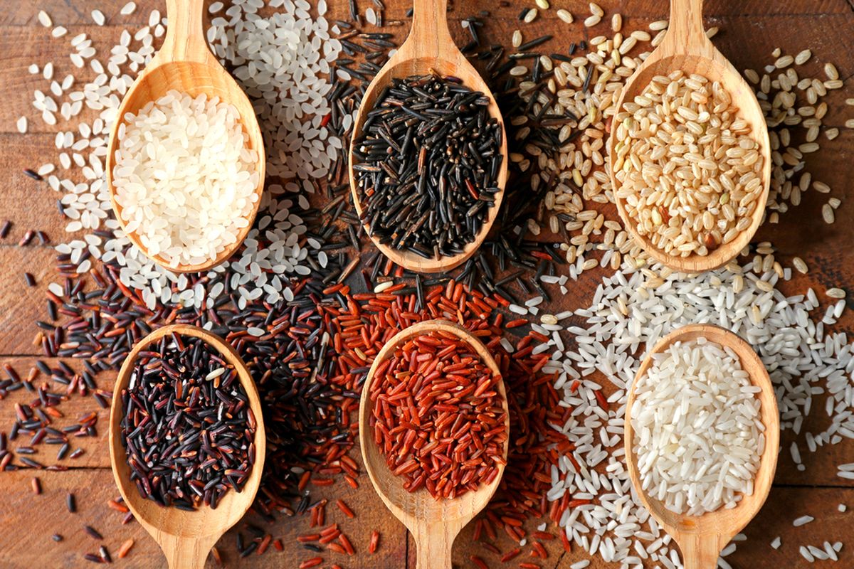 jenis gabah untuk produksi beras