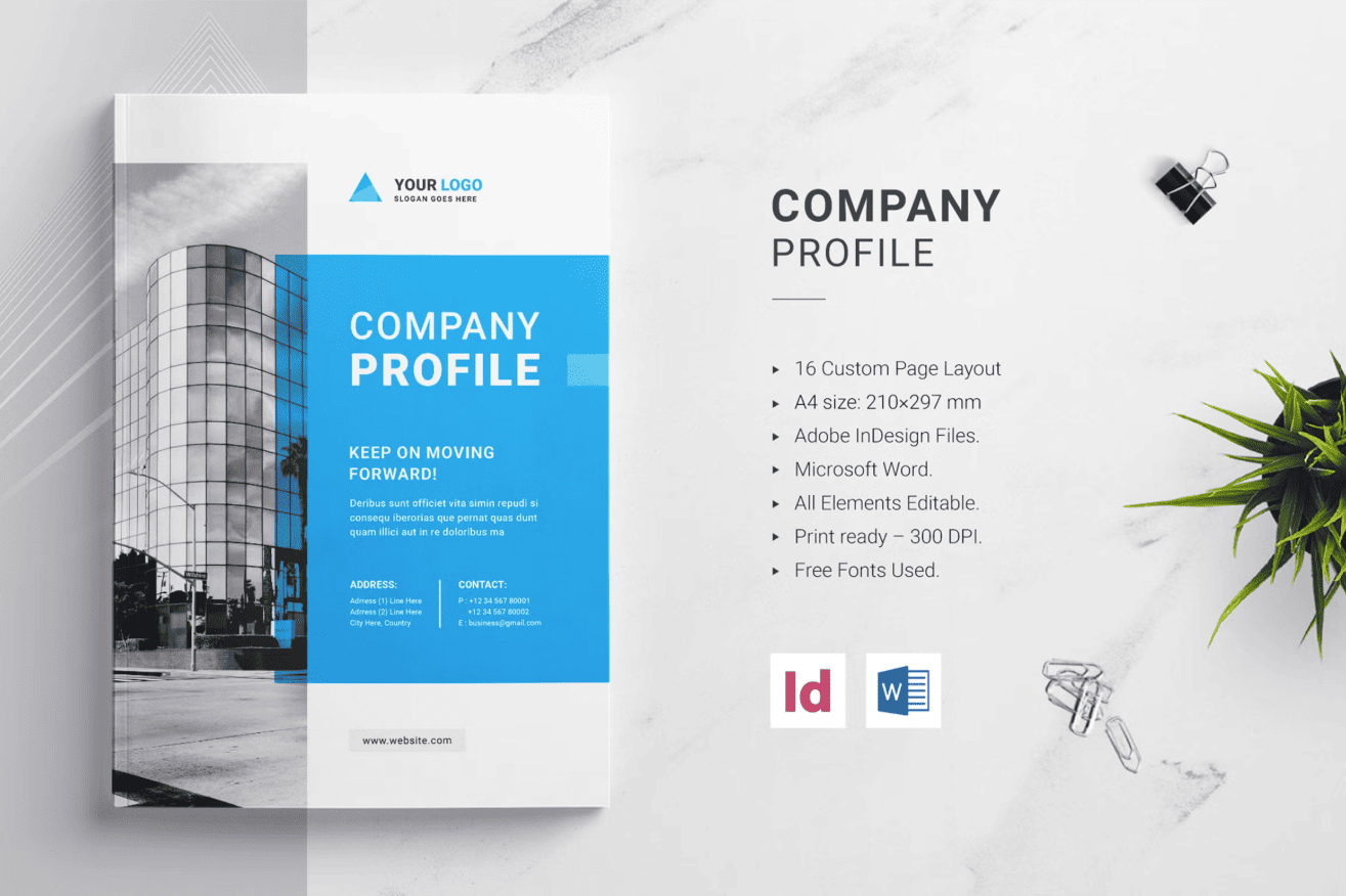 Informasi Penting dalam Company Profile