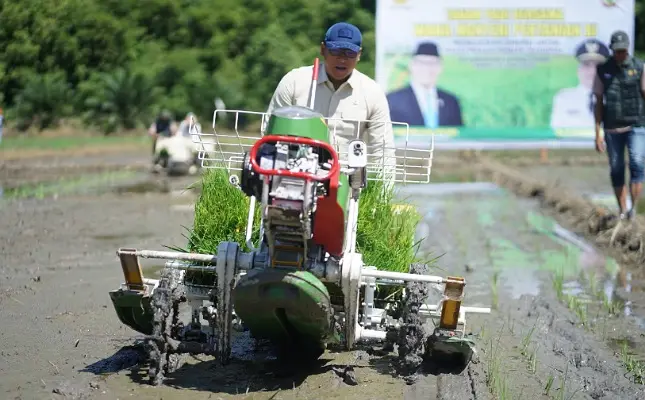 Kapasitas Kerja Alat Tanam Padi