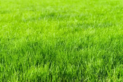 penyebab mesin pencacah rumput tersendat