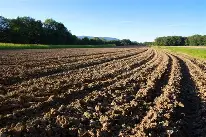 cara menggunakan mesin cultivator untuk mengolah tanah