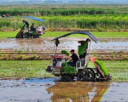 Kebutuhan Alat Pertanian Saat Tenaga Kerja Terbatas
